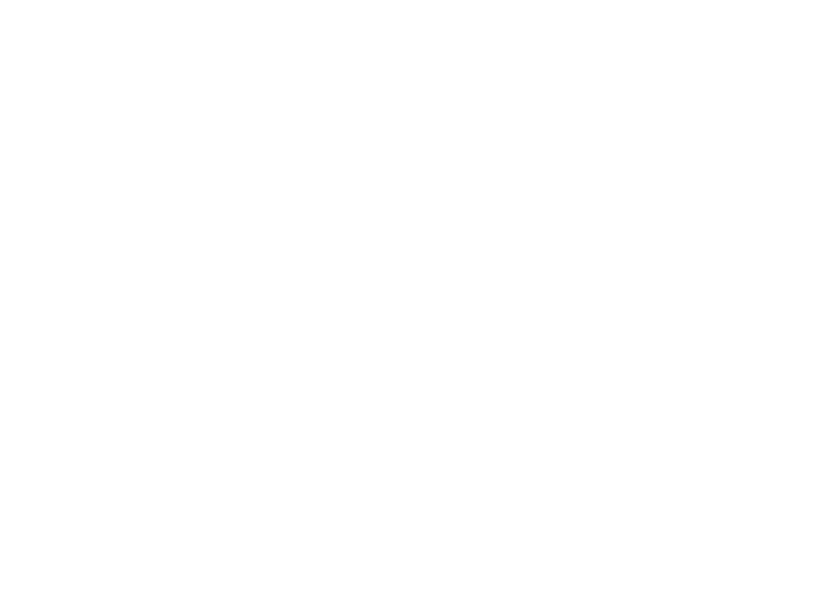 Your Next Chapter Florida